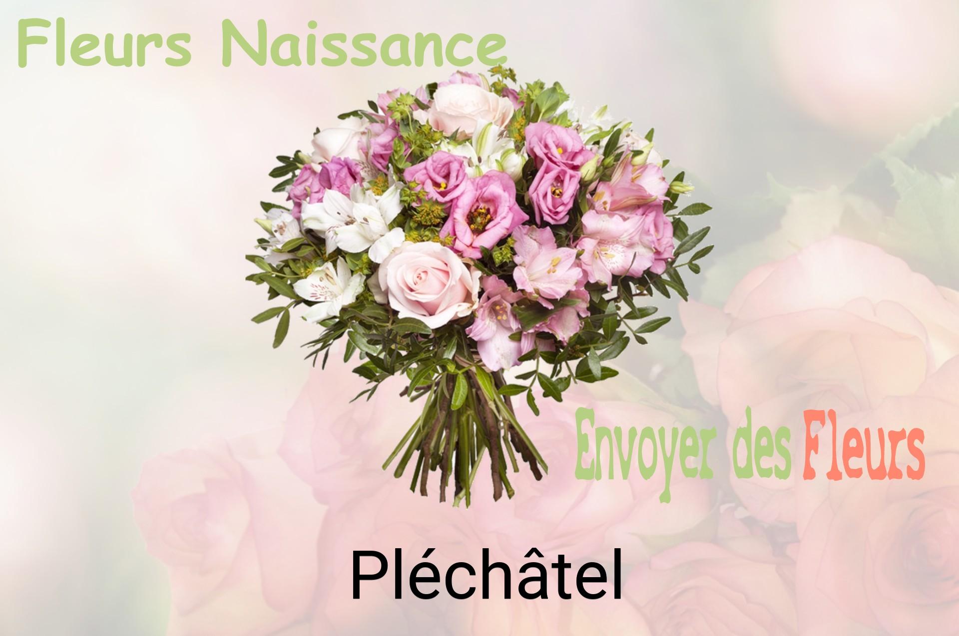 Bouquet de fleurs de naissance livré à Pléchâtel